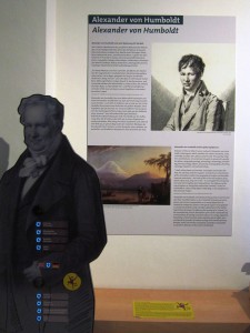 Alexander von Humboldt Ausstellungsstück